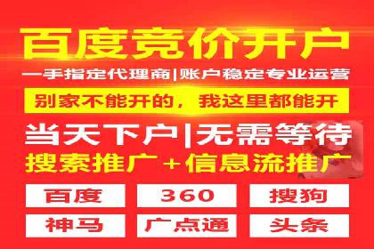竞价推广代运营：成功案例解析